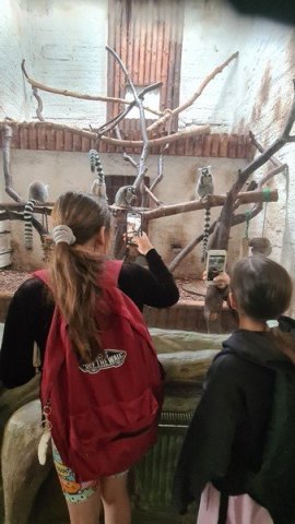 2025-2026 &raquo; Wycieczka do ZOO w Zamościu