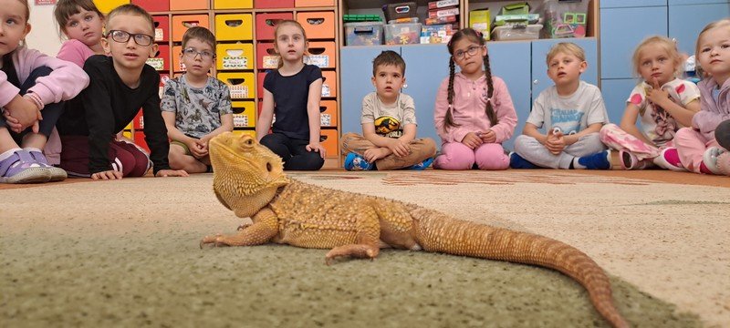 Dzień Dziecka w przedszkolu